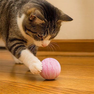 Balle pour chat rose striée