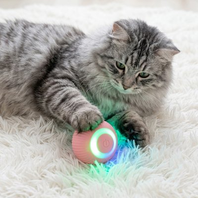Balle automatique chat rose lumineuse sous la patte d’un chat gris allongé sur un tapis blanc