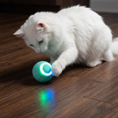 Balle automatique chat turquoise lumineuse sous la patte d’un chat blanc sur du parquet