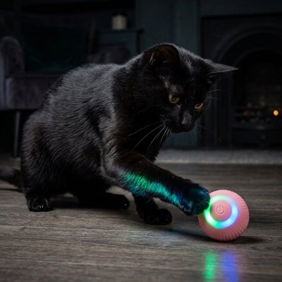 Balle automatique chat rose lumineuse touchée par un chat noir dans une pièce sombre